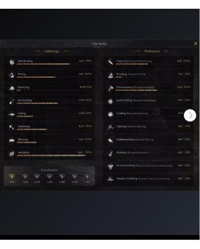 85 % 100 PROTEAN WARRİOR FULL SKİLL