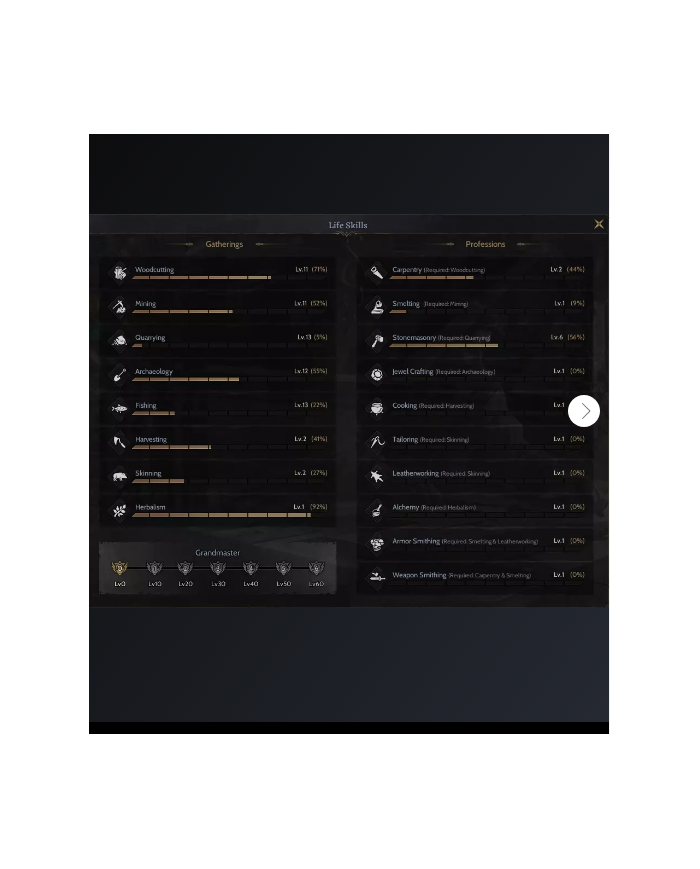 85 % 100 PROTEAN WARRİOR FULL SKİLL