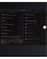 85 % 100 PROTEAN WARRİOR FULL SKİLL