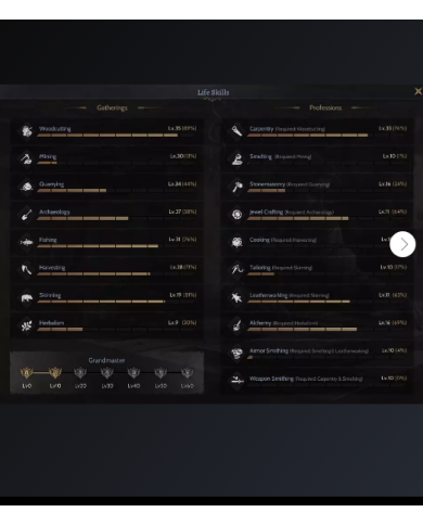 Toplayıcı Rogue Gm1