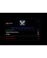 +9 ROGUE HEAVY PLATE