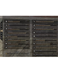 +16 RELİC - SKİLLERİ İKİ IRKTA AÇIK - ELİT MAGE