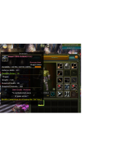 +11 Rogue Chitin Helmet